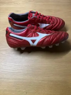 モレリア40周年