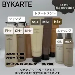 バイカルテUH HS セット BYKARTE【バイカルテ】UH⁺/HS⁺ | 取扱い商品 | 株式会社LEDEAL | 大阪