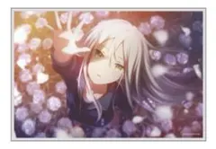 プロセカ はぴこれ くじ バースデー 奏　アクリル色紙　B賞