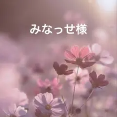 みなっせ様