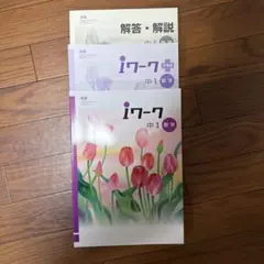 iワーク 中1 数学 解答・解説 セット