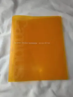 Item thumbnail for item 9fc586eb-ec0d-427c-bf4c-1c293de07d42