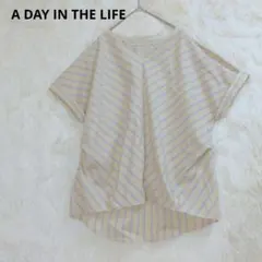 アデイインザライフ　Vネックシャツ フレンチスリーブブラウス　ベージュ系のサムネイル