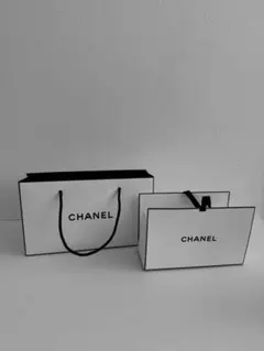 CHANEL ギフト用包装袋