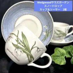 廃盤品】ウェッジウッド サラズガーデン スノードロップ C／S 2客