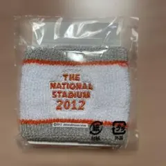 嵐 嵐フェス 2012 リストバンド