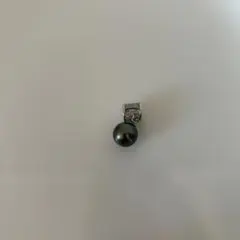 Item thumbnail for item 5dccf546-2c10-4f2e-8dd3-7bbbae6c1695