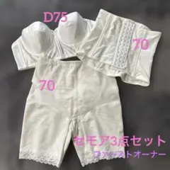 2026年最新】セモア ブライダルインナーの人気アイテム - メルカリ
