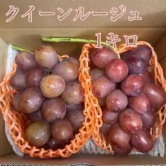 ホワイトスノー様クイーンルージュ、ナガノパープル （1kg以上