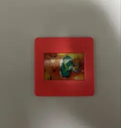 【人気・希少】明治(meiji) ポケモン　ピクチャーフレーム　リザードン ⚫︎【人気・希少】明治(meiji) ポケモン ピクチャーフレーム
