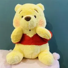 くまのプーさん てれかくし超BIGぬいぐるみ～サプライズ～