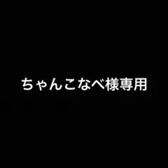 専用ページ