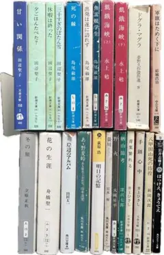 文庫本　２３冊　（古本）