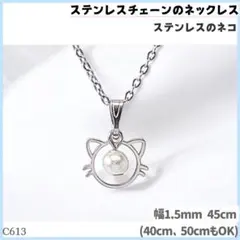 C613.ミニ 猫 ガラスパール ステンレス チェーン ネックレス