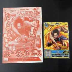 ポートガス・D・エース：最強ジャンプ5月号 応募者全員大サービス