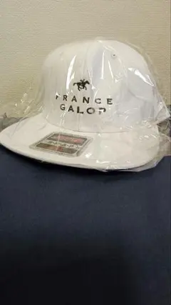 Item thumbnail for item e5416b9c-a2a3-46cb-98a0-f2a80911a563