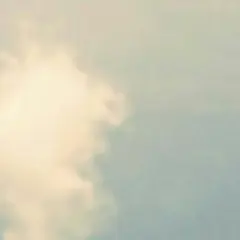 れいちぇる様専用