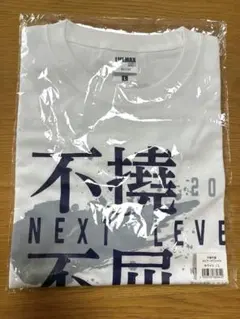 不撓不屈 スピアーズTシャツ L