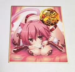 レア 光璃 戦国恋姫 色紙 俺の嫁BOX