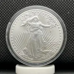 2026年最新】イーグル銀貨の人気アイテム - メルカリ