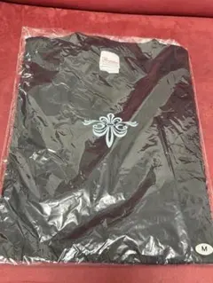 Printstar 半袖Tシャツ ブラック Mサイズのサムネイル