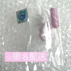 プリキュアオールスターズ　なりきりプリキュアDX4 変身スカイミラージュ　ガチャ