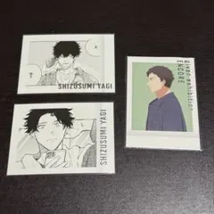 黒川イザナ・乾青宗 東京リベンジャーズ 原画展 ぱしゃこれ PREMIUM
