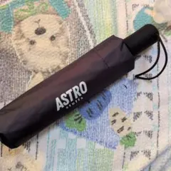 2026年最新】AstroStuffsの人気アイテム - メルカリ
