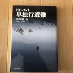 Item thumbnail for item 37ddc4ce-565b-4838-b241-dbe262ab2014