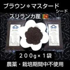 ♦スリランカ産♦ ブラウンマスタード シード２００g ♦とっても希少♦のサムネイル