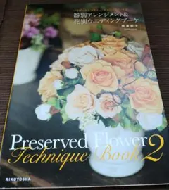 Item thumbnail for item 50c5e70e-3192-4aae-88c6-a9675623cbe9