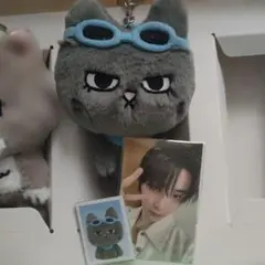 ぬいぐるみキーホルダー　キーリング　テサン　BOYNEXTDOOR　ボネクド