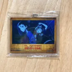 1 【Dr.STONE】あさぎりゲン　アクリルキーホルダー　NEW WORLD