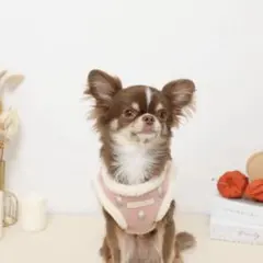 Item thumbnail for item 98e09e77-1cdf-4dde-af18-cdb7124130e2