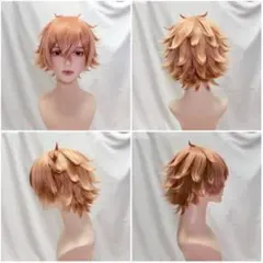 2025年最新】エース・トラッポラ ウィッグの人気アイテム - メルカリ