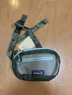 【新品 未使用】patagonia パタゴニア ミニヒップバッグ 1L