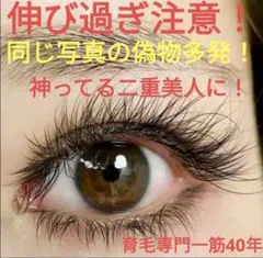 マツエク風♡つけまつげ♡ハンドメイド - メルカリ