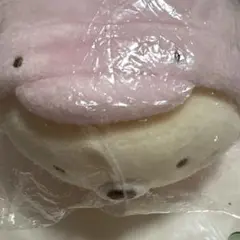 すみっコぐらし 水族館限定 ねこ