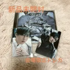 Stray Kids GIANT チャンビンセット