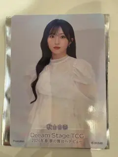 秋山由奈　AKB48 　武道館入場特典