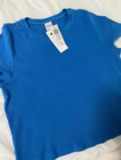 Aritzia ブルー　クロップ　リブ 半袖Tシャツ L