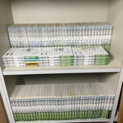 2025年最新】風の大地 全巻の人気アイテム - メルカリ