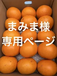 まみまみ　様　専用ページ