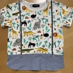kladskap クレードスコープ Tシャツ　120 動物