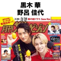 月刊ザテレビジョン 黒木華 野呂佳代 切り抜き