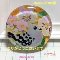 choboo0305様　鳩　レジンヘアゴム　まん丸の鳩　パンジー