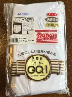 【新品】GUNZE GQ1 スパンブリーフ前あき Lサイズ 2枚組