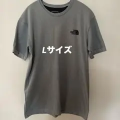 THE NORTH FACE グレー Tシャツ