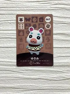 あつ森　ゆきみ　amiibo