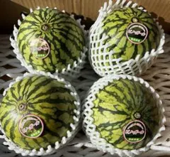 【熊本県産】ピノガール 西瓜 小玉スイカ Sサイズ ６玉入り 熊本県産】ピノガール 西瓜 小玉スイカ Sサイズ 6玉入り - メルカリ